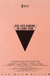دانلود زیرنویس فیلم Bad Luck Banging or Loony Porn 2021