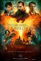 دانلود زیرنویس فیلم Fantastic Beasts: The Secrets of Dumbledore 2022