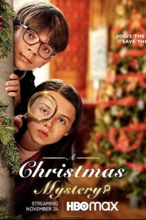 دانلود زیرنویس فارسی فیلم A Christmas Mystery 2022