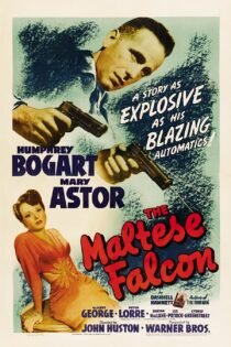 دانلود زیرنویس فارسی فیلم The Maltese Falcon 1941